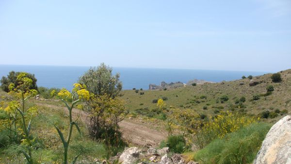 Süd-Kreta-Kreta: Agios Pavlos, Südkreta 