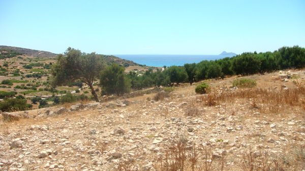 Süd-Kreta-Kreta: Pitsidia, Südkreta 