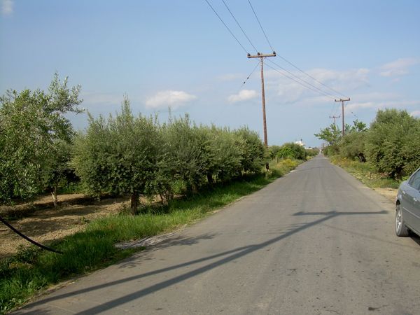 Süd-Kreta-Kreta: Kapariana, S 