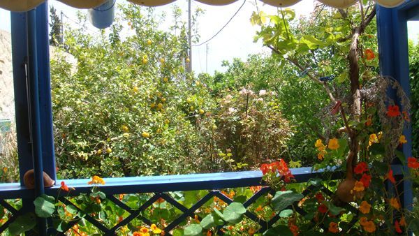 Süd-Kreta-Kreta: Natursteinhaus mit privatem Garten in schoner ruhiger Lage Phaestos 