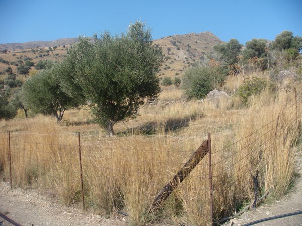 Süd-Kreta-Kreta: Agia Galini, Südkreta 