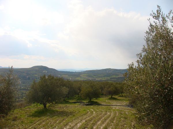 Süd-Kreta-Kreta: Plouti, Messara, Kreta 