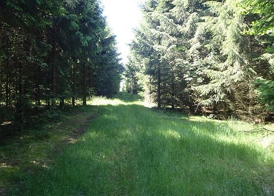 Vorbasse: Skødebjergvej 3, a 6623 Vorbasse 