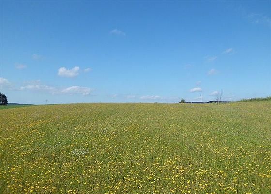 Aarup: Dragebakken 0 5560 Aarup 