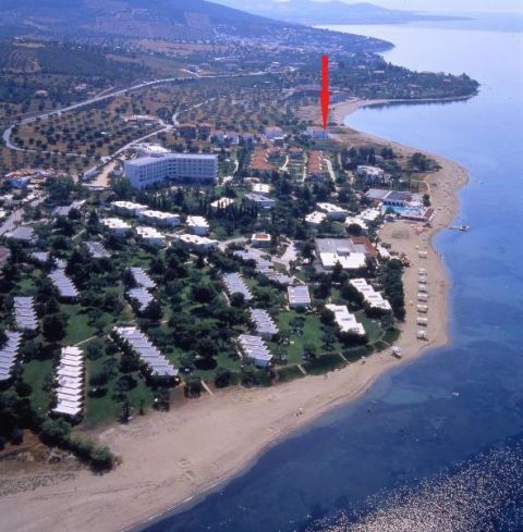 Gerakini - Chalkidiki: Wunderschöne Maisonette 80 Meter entfernt vom Strand 