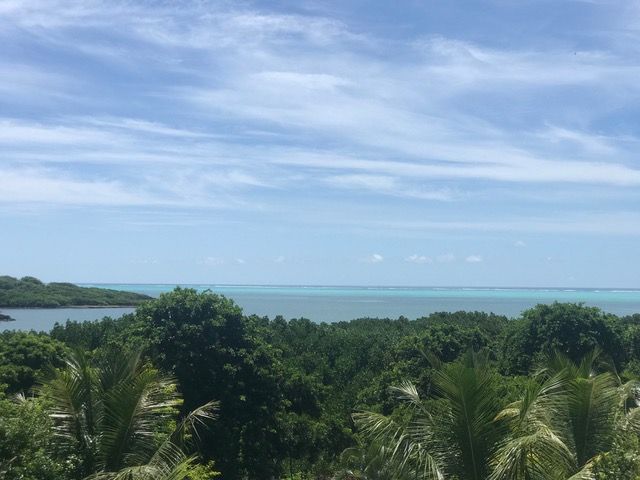 Roches Noires: One of the nicest Penthouses in the world ! Roches Noires: One of the nicest Penthouses in the world !