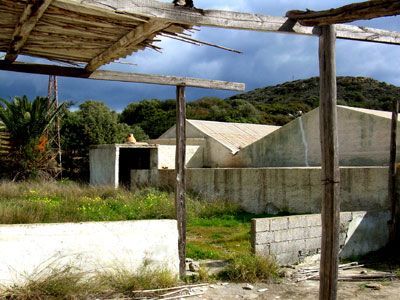 Süd-Kreta-Kreta: Zorbas Diskothek und 2400 qm Land in Matala Süd-Kreta-Kreta: Zorbas Diskothek und 2400 qm Land in Matala