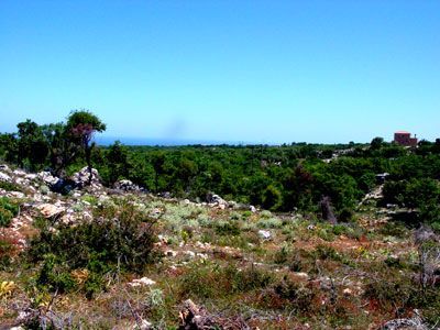 Nord-Kreta: Baugrundstueck in Atsipopoulos, 3 km von Rethymnon entfernt Nord-Kreta: Baugrundstueck in Atsipopoulos, 3 km von Rethymnon entfernt