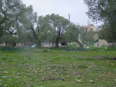 Süd-Kreta-Kreta: Bauland in Vreli, 2000 qm Süd-Kreta-Kreta: Bauland in Vreli, 2000 qm