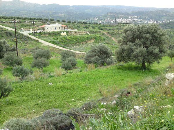 Süd-Kreta-Kreta: Kamilari, S Süd-Kreta-Kreta: Kamilari, S