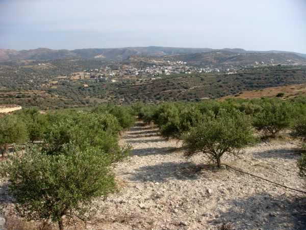 Süd-Kreta-Kreta: Kamilari, Südkreta Süd-Kreta-Kreta: Kamilari, Südkreta