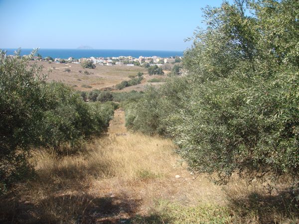 Süd-Kreta-Kreta: Kalamaki Strand, im Süden Kretas Süd-Kreta-Kreta: Kalamaki Strand, im Süden Kretas