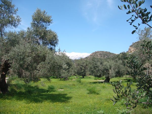 Süd-Kreta-Kreta: Agia Galini, Südkreta Süd-Kreta-Kreta: Agia Galini, Südkreta