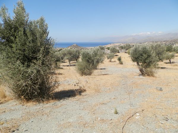 Süd-Kreta-Kreta: Triopetra Strand, South Crete Süd-Kreta-Kreta: Triopetra Strand, South Crete