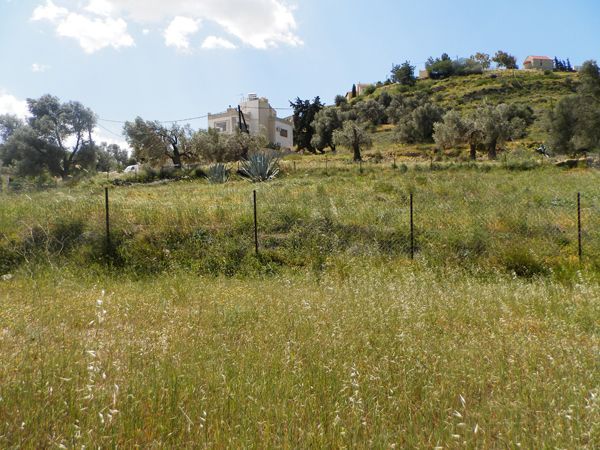 Süd-Kreta-Kreta: BAUGRUNDSTÜCKE-LAND - Heraklion - For Sale Süd-Kreta-Kreta: BAUGRUNDSTÜCKE-LAND - Heraklion - For Sale