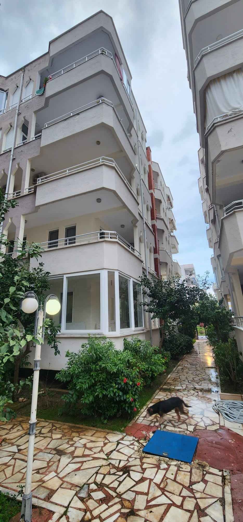 2+1 renovierte Wohnung 26