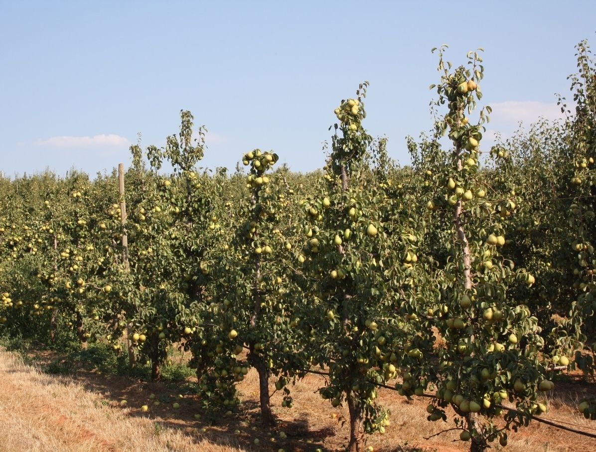 Urbanização Carvalhal (b)B Urbanização Carvalhal (b)B