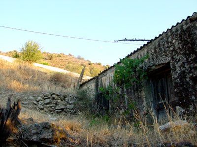 Süd-Kreta-Kreta: Grundstueck am Hang am Ortsrand von Kousses 