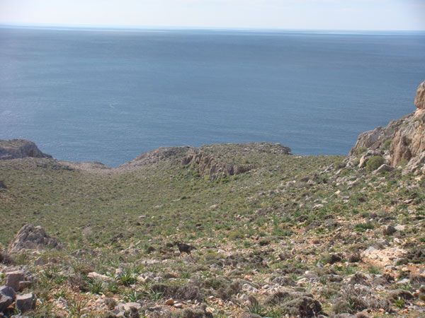 Süd-Kreta-Kreta: Umgebung Lendas, Südkreta 25 Süd-Kreta-Kreta: Umgebung Lendas, Südkreta 25