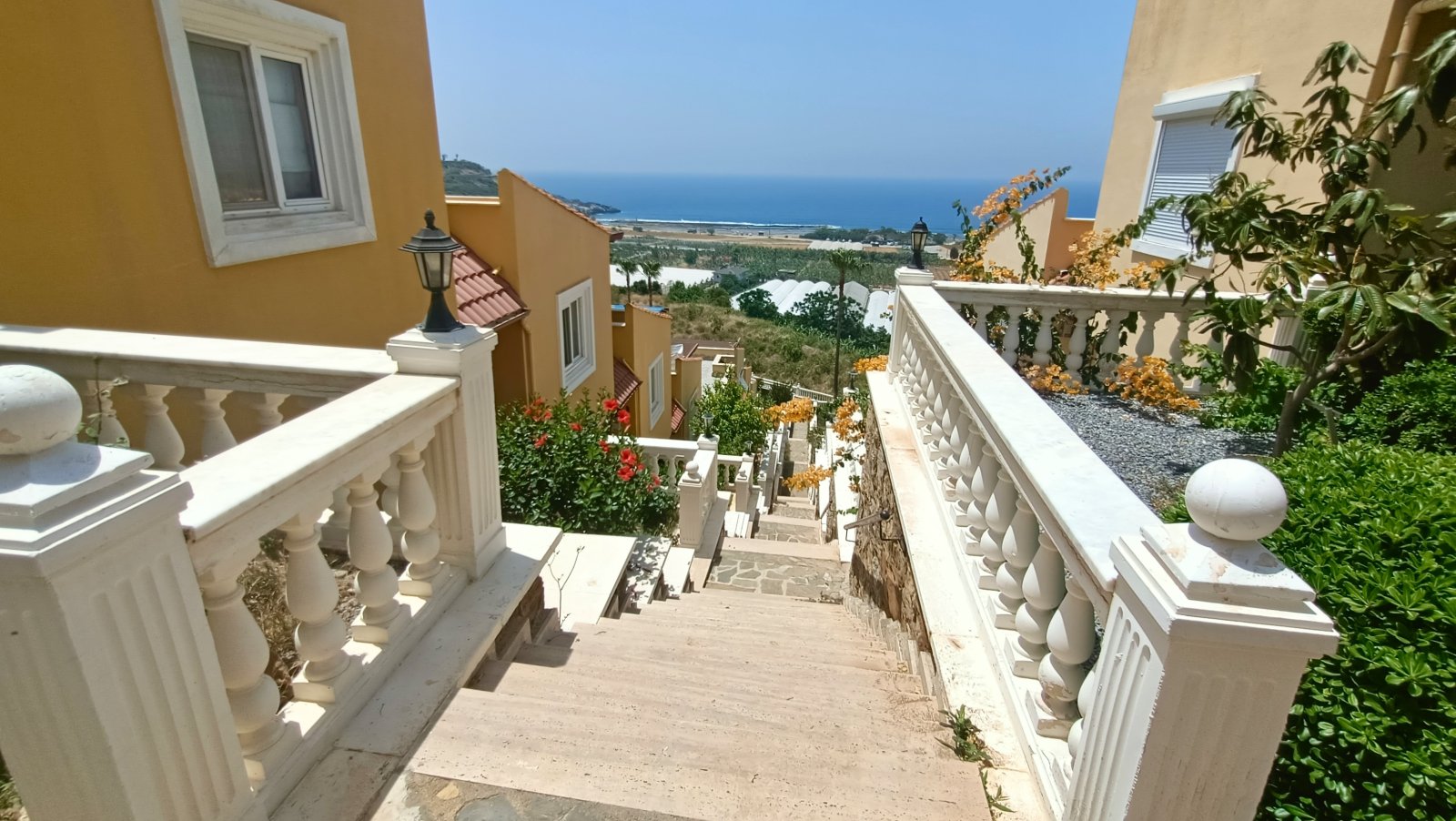 IMG 20250527 132602 IMG 20250527 132602