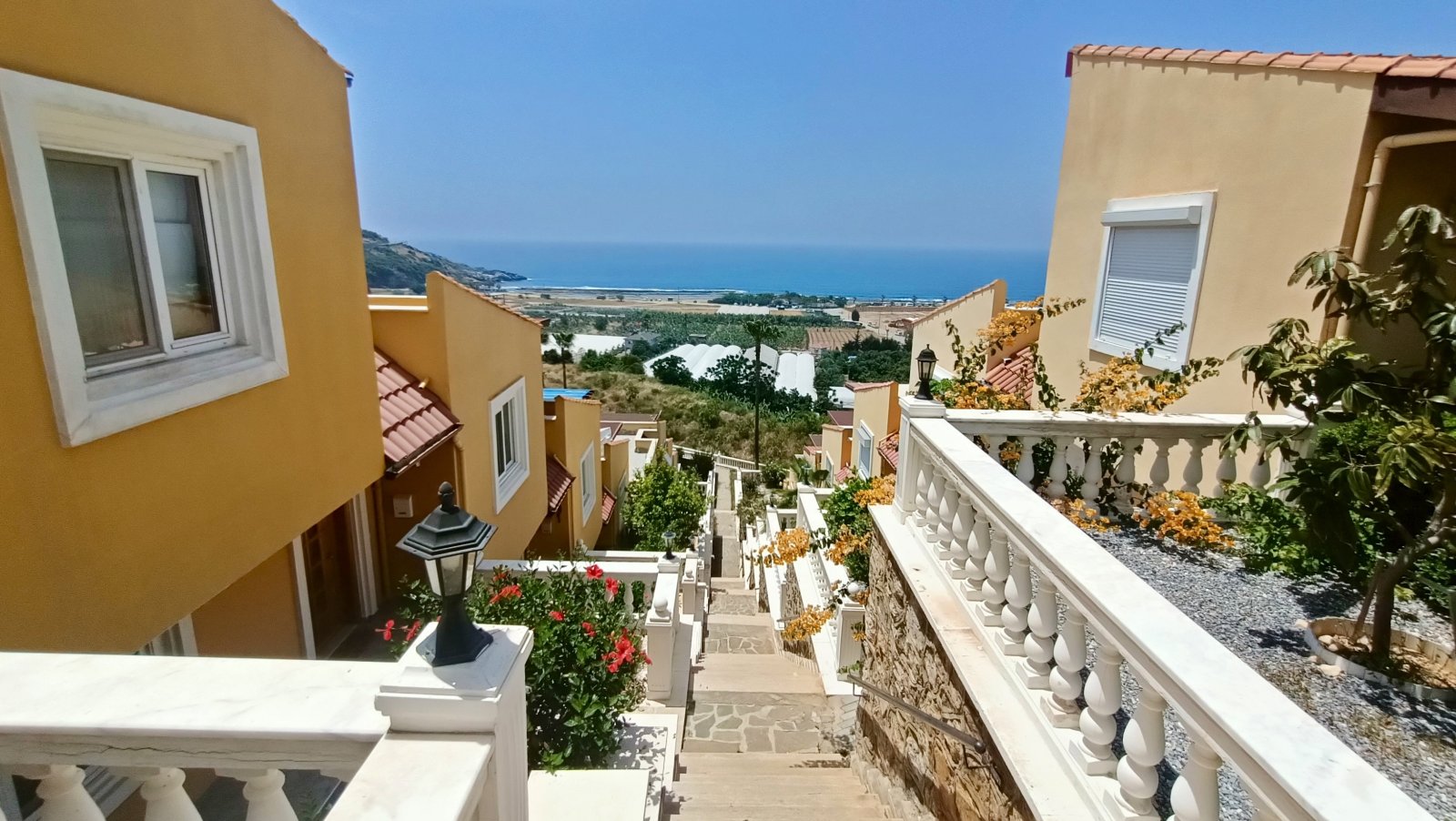 IMG 20250527 132550 IMG 20250527 132550