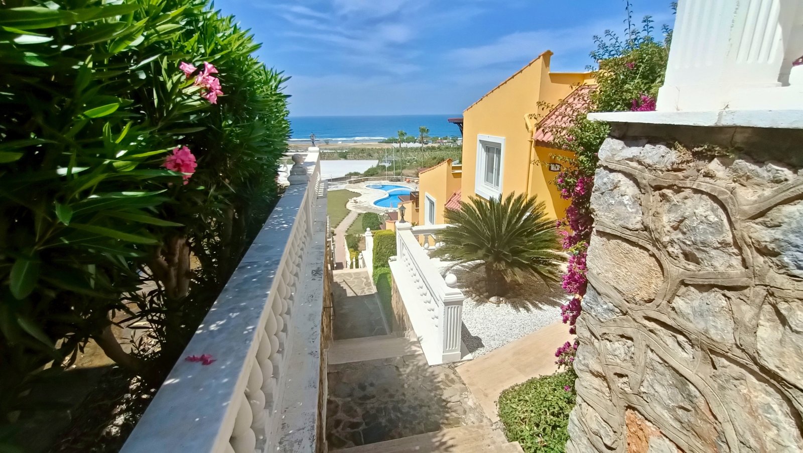 IMG 20250515 151613 IMG 20250515 151613