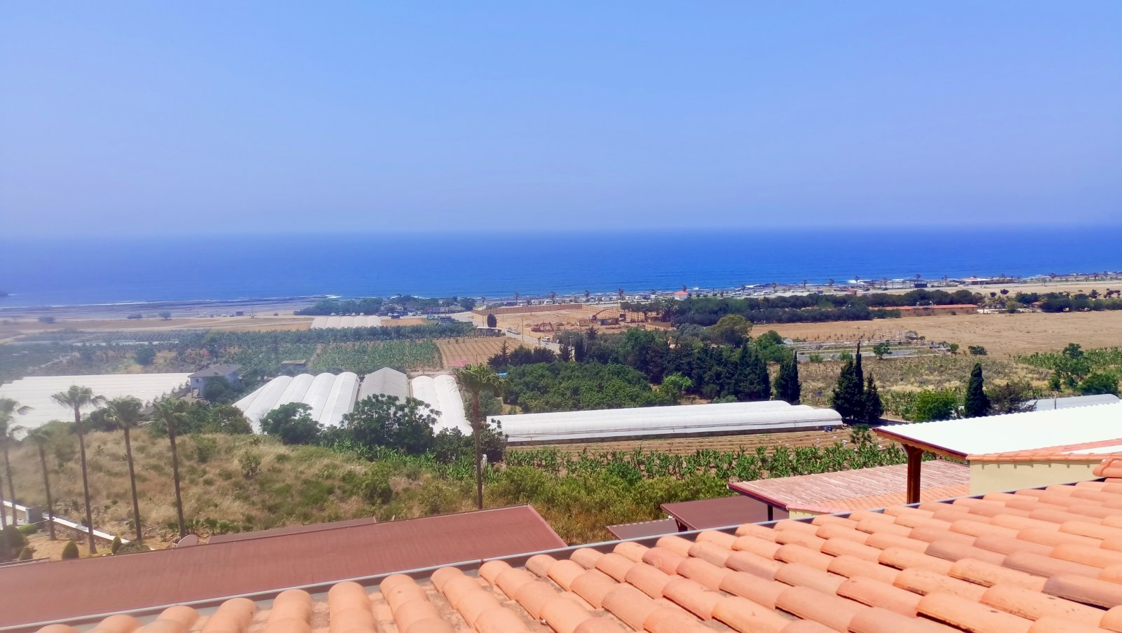 IMG 20250527 132955 IMG 20250527 132955