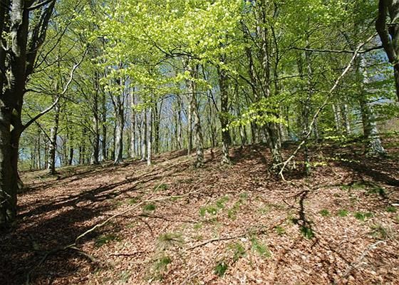 Aars: Roldvej 14 9600 Aars Aars: Roldvej 14 9600 Aars