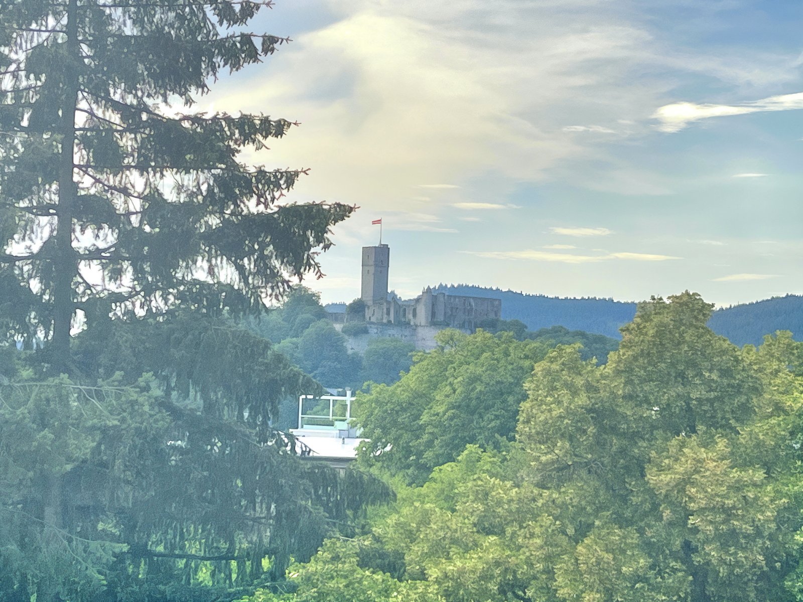 Blumenauer (c) - Blick