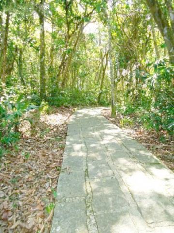 -Trilha das Pedras -Trilha das Pedras