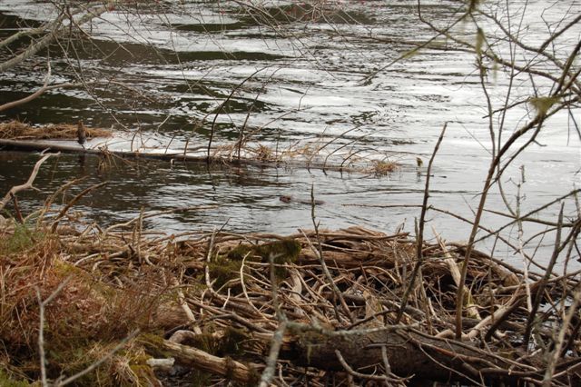 Immobilien Kanada Lot 35 Ufer Immobilien Kanada Lot 35 Ufer