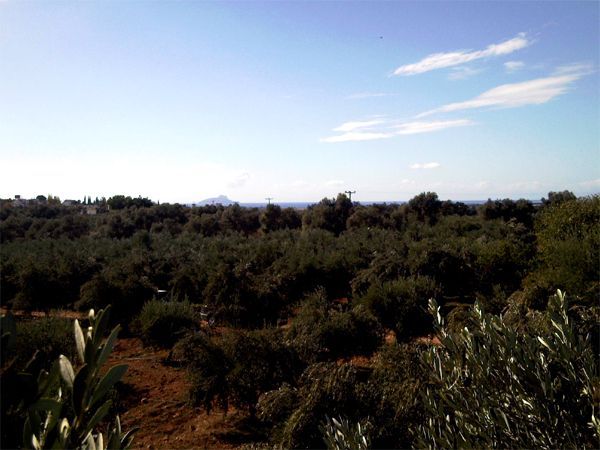 Süd-Kreta-Kreta: Baugrundstueck von 7000 qm im traumhaften Dorf Vori, Suedkreta Süd-Kreta-Kreta: Baugrundstueck von 7000 qm im traumhaften Dorf Vori, Suedkreta