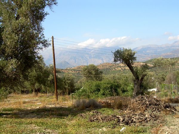 Süd-Kreta-Kreta: Grundstueck in Kalamari, Suedkreta, in ruhiger Lage mit Blick aufs Gebirge 