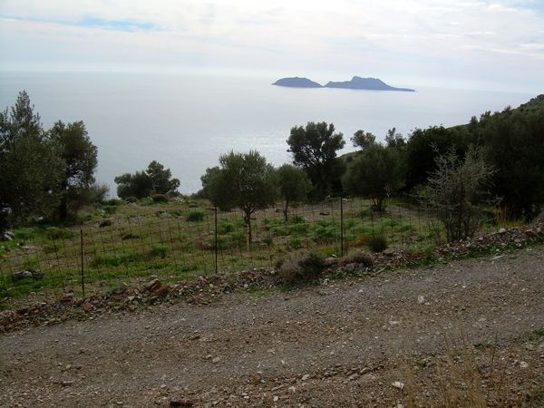 Süd-Kreta-Kreta: Agios Georgios, S 