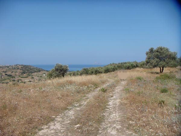 Süd-Kreta-Kreta: In der Gegend von Pitsidia im Süden Kretas Süd-Kreta-Kreta: In der Gegend von Pitsidia im Süden Kretas