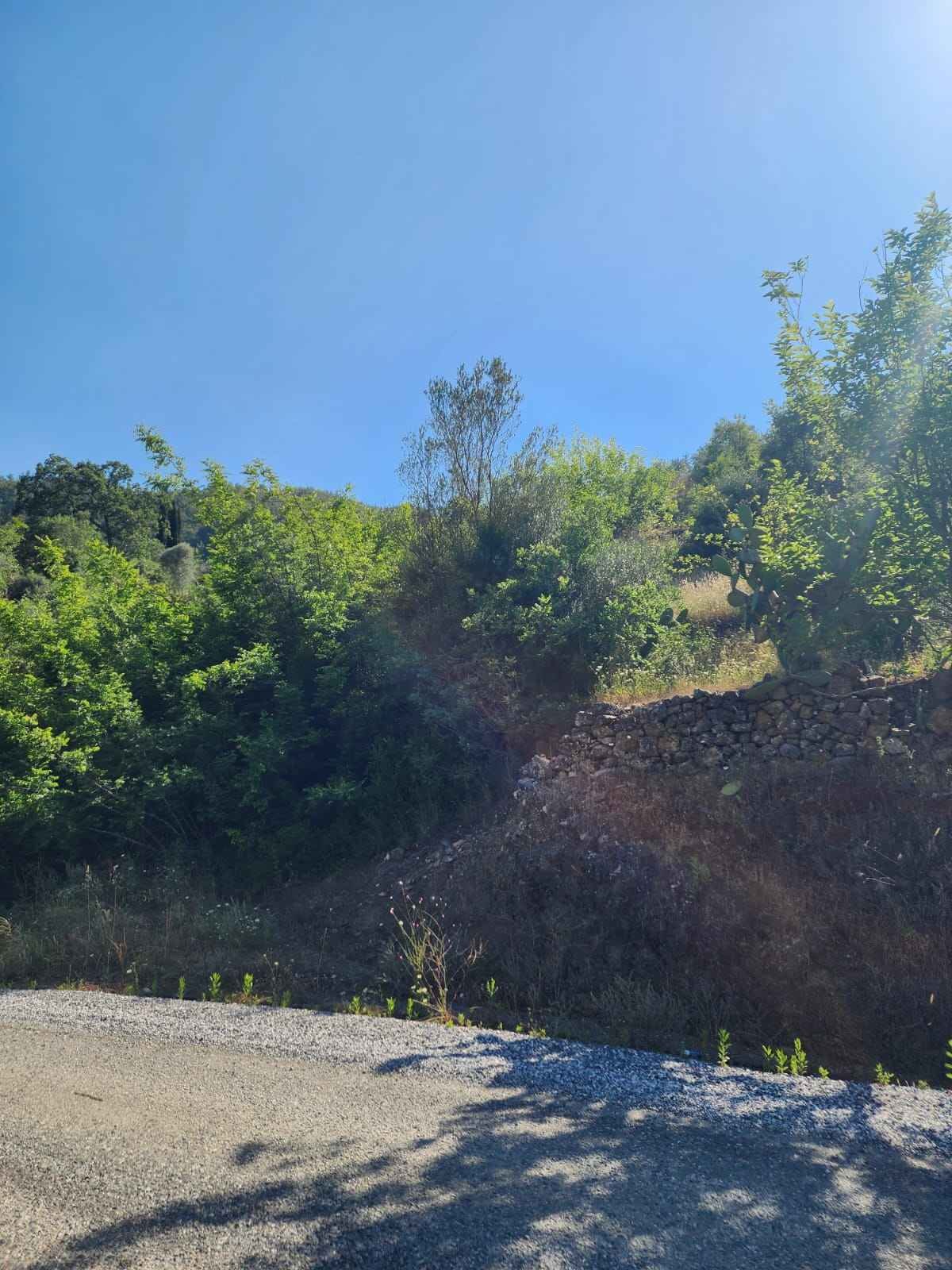 grundstueck alanya fakircali 02 grundstueck alanya fakircali 02