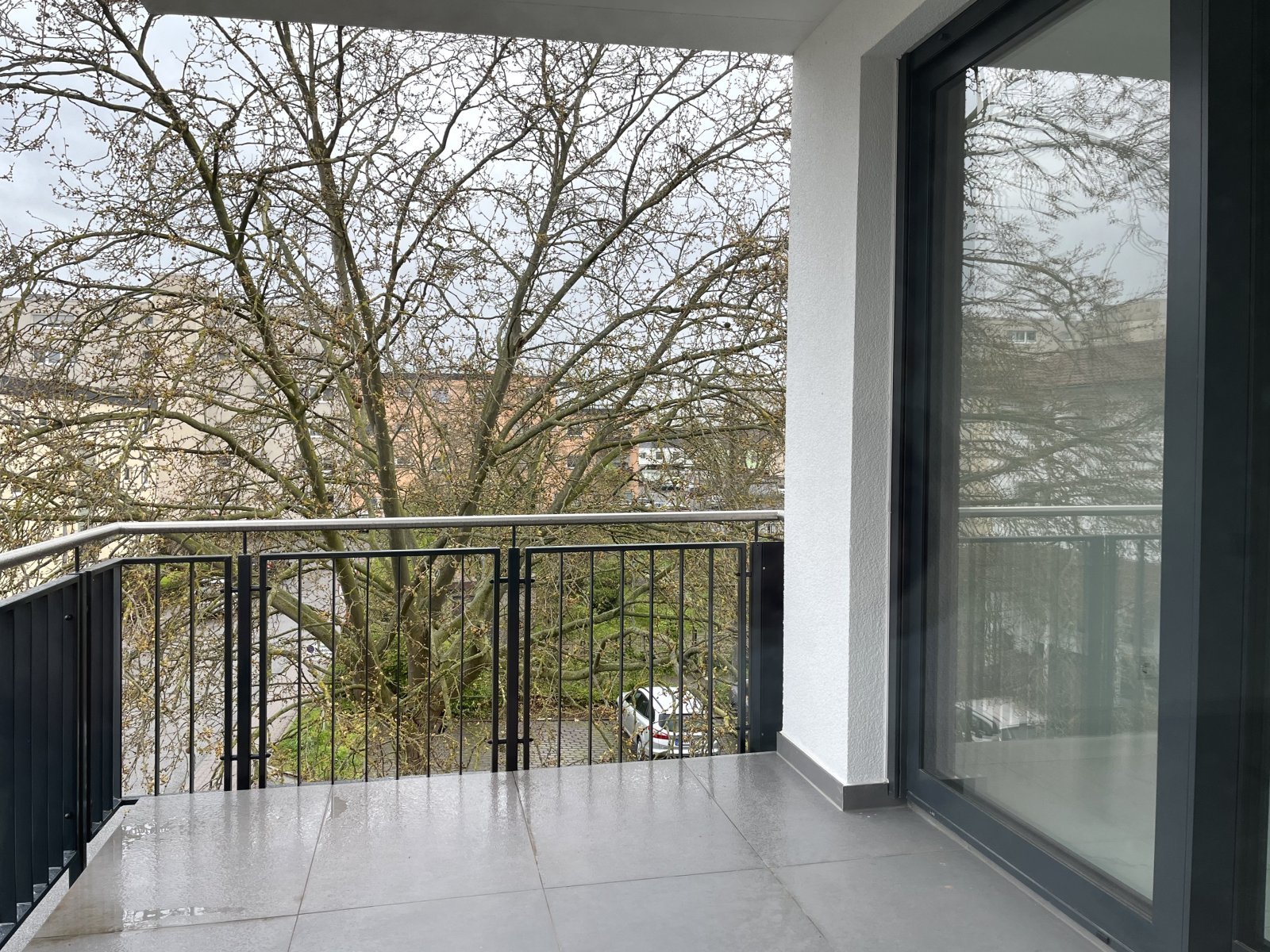 Hattersheim am Main: Luxus im 2.OG Hattersheim am Main: Luxus im 2.OG