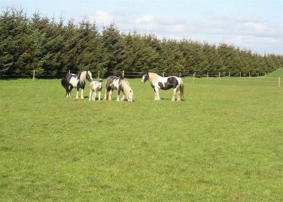 Bækmarksbro: Ballesigvej 7 7660 Bækmarksbro Bækmarksbro: Ballesigvej 7 7660 Bækmarksbro