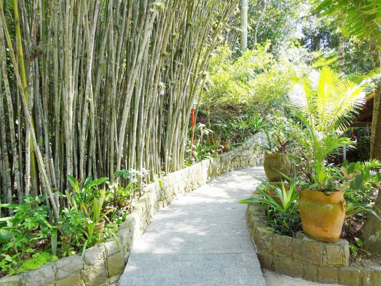 -Acesso ao Restaurante da Praia - Ilha do Bernardo -Acesso ao Restaurante da Praia - Ilha do Bernardo