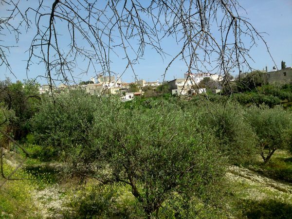 Süd-Kreta-Kreta: Galia, S Süd-Kreta-Kreta: Galia, S