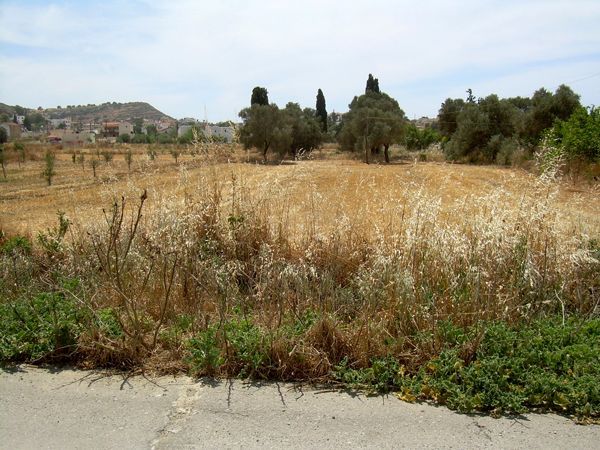 Süd-Kreta-Kreta: Pitsidia, S 