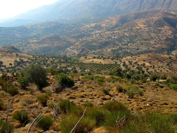Süd-Kreta-Kreta: Sakturia- Agios Pavlos, Südkreta 