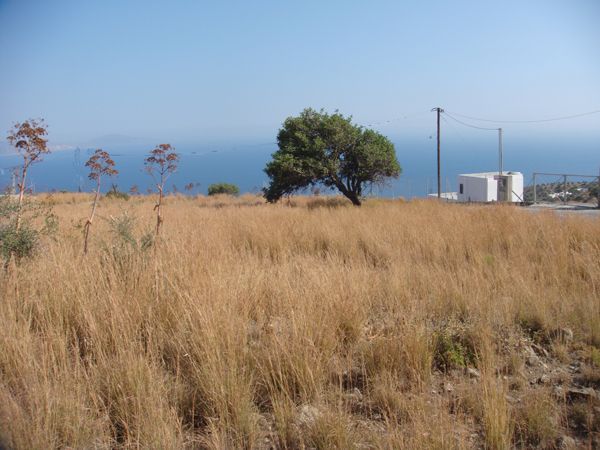 Süd-Kreta-Kreta: Agia Galini, Süd-Kreta 