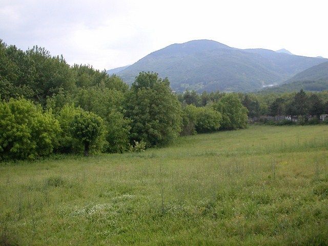 Glyka Nera: East Attica - Glyka Nera (Paiania) 