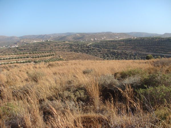 Süd-Kreta-Kreta: Kamilari, Süd Kreta, 8 