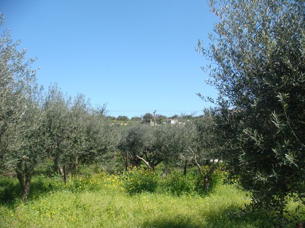 Nord-Kreta: Gazi, Heraklion, Kreta 