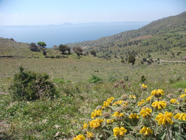Süd-Kreta-Kreta: Melambes, Südkreta 