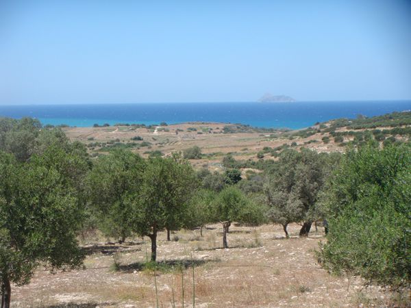Süd-Kreta-Kreta: Pitsidia, South Crete 