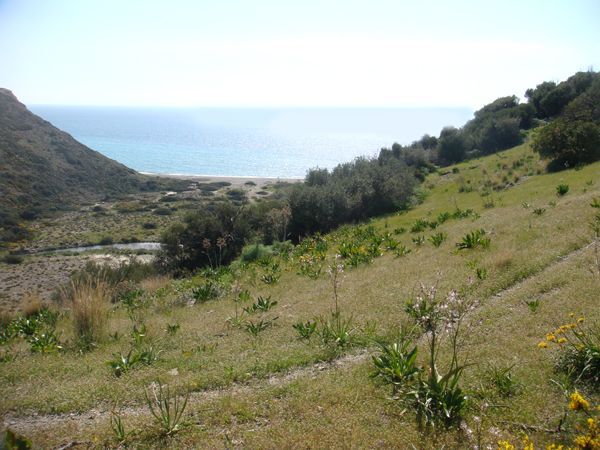 Süd-Kreta-Kreta: Triopetra Strand, im Süden Kretas Süd-Kreta-Kreta: Triopetra Strand, im Süden Kretas