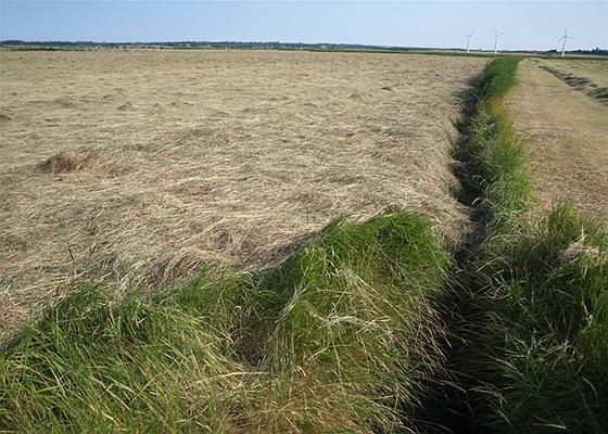 Oksbøl: Fredtoftvej 0 6840 Oksbøl Oksbøl: Fredtoftvej 0 6840 Oksbøl